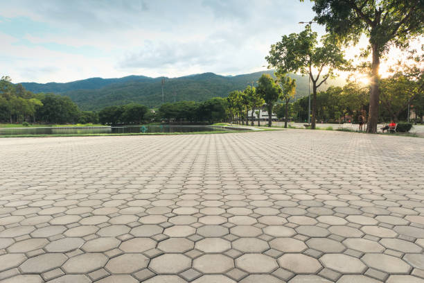 Best Professional Driveway Pavers  in Southern Shores, NC